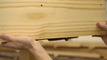 The rear of the jaw.